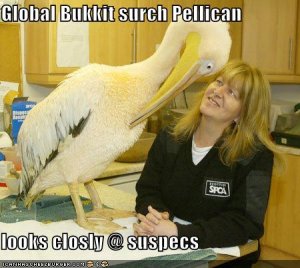 lolcatsglobalbukkitsurchpellican.jpg