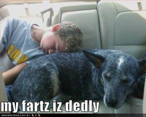 loldogsmyfartzizdedly.jpg