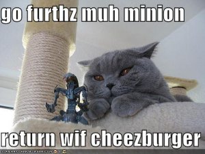 lolcatsgofurthmuhminion.jpg