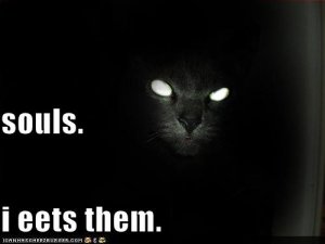 lolcatssoulsieetsthem.jpg