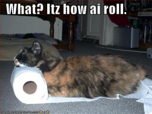 howirollcat.jpg