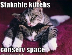 stackablecats.jpg