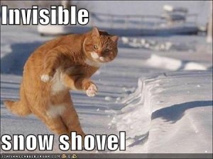 lolcatsinvisiblesnowshovel.jpg