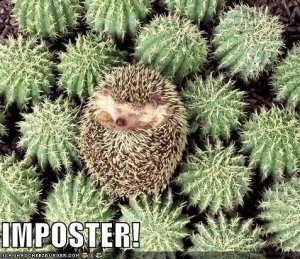 lolcatsimposter.jpg