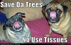 loldogssavedatrees.jpg
