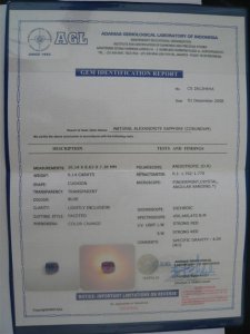 P1000637 .jpg