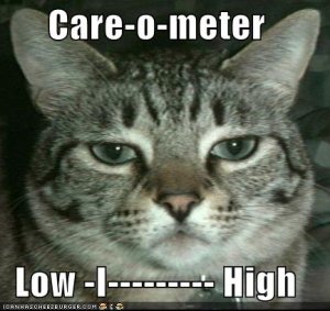 lolcatscareometer.jpg
