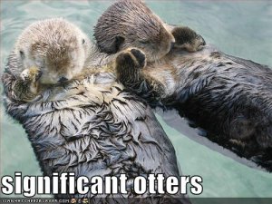 significantotters.jpg
