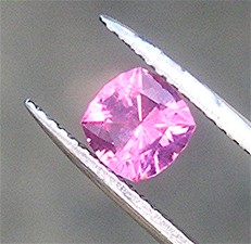 spinCushion5.jpg