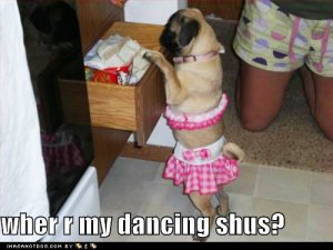 loldogsdancingshus.jpg