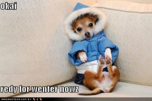 loldogsredyforwenter.jpg