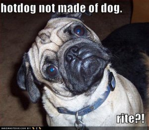 loldogshotdognotmadeofdog.jpg