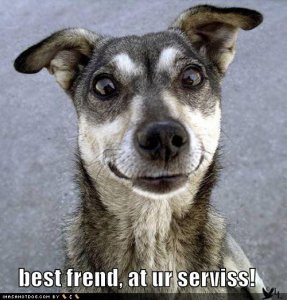 loldogsbestfriendaturservice.jpg