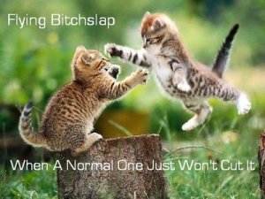 bitch_slap14242.jpg