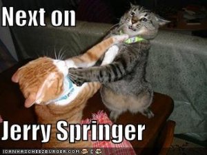 jerryspringer.jpg