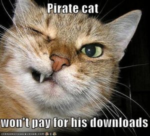 Piratecat.jpg