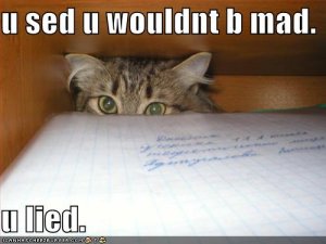 lolcatsuseduwouldntbmadulied.jpg