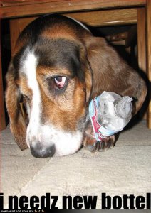 loldogsineedznewbottel.jpg