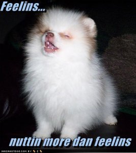 loldogsfeelins.jpg