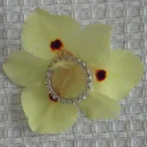 kh-flower-2009.jpg