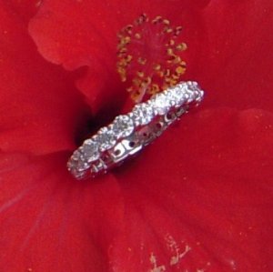 kh-closeup-2009.JPG