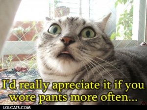 lolcatsdotcom17gd12vhvye4sc39.jpg