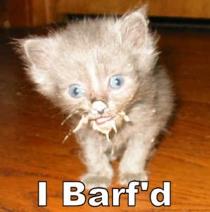 cat-i-barfd.jpg