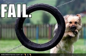 loldogsmissedthehoop.jpg