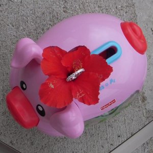 kh-pigflower-2009.jpg