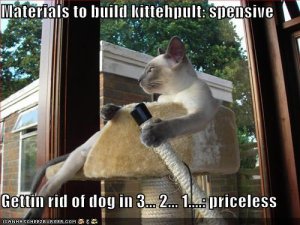 kittehpult.jpg