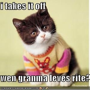 sillykittysweater.jpg