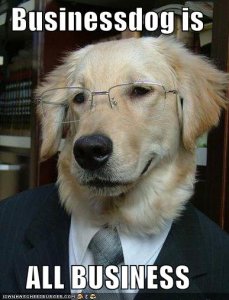 loldogsbusinessdog.jpg