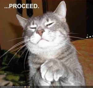 Proceed.jpg