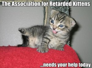 lolcatsdotcomeqkgnu7xlhdyuokv.jpg
