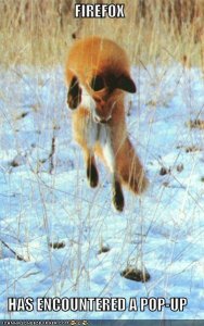 firefoxlolcat.jpg