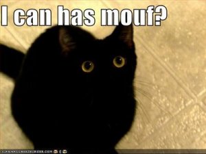 lolcats-funny-pictures-i-can-has-mouth.jpg