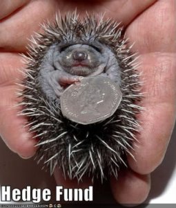 hedgehog.jpg
