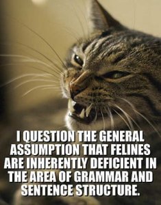 lol1notminegrammaraa.jpg