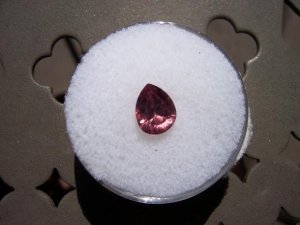 HH spring pics 006.jpg