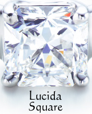 Lucida Square 1.jpg