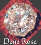 Dene Rose.jpg