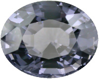 b_spbl46001.jpg