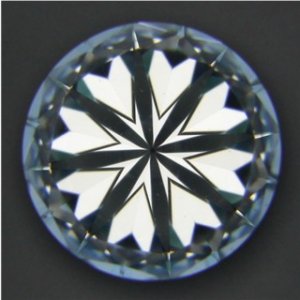 webFocus1.jpg