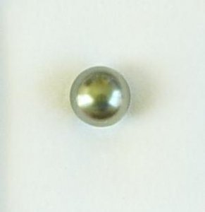 black pearl1.jpg