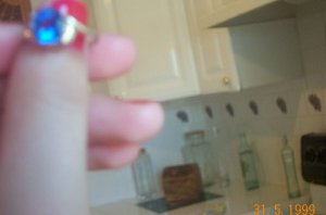 Picture 047.jpg