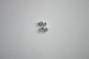 IMG_4370.jpg