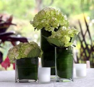 flowers 90831.JPG
