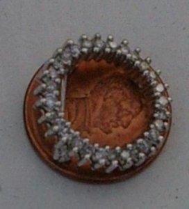 tiny pinonpenny.JPG
