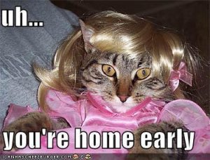 homeearlycat.jpg