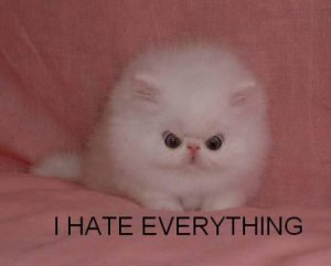 Ihateeverything.jpg